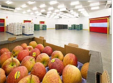 Fruit and Vegetable | Refrigeration